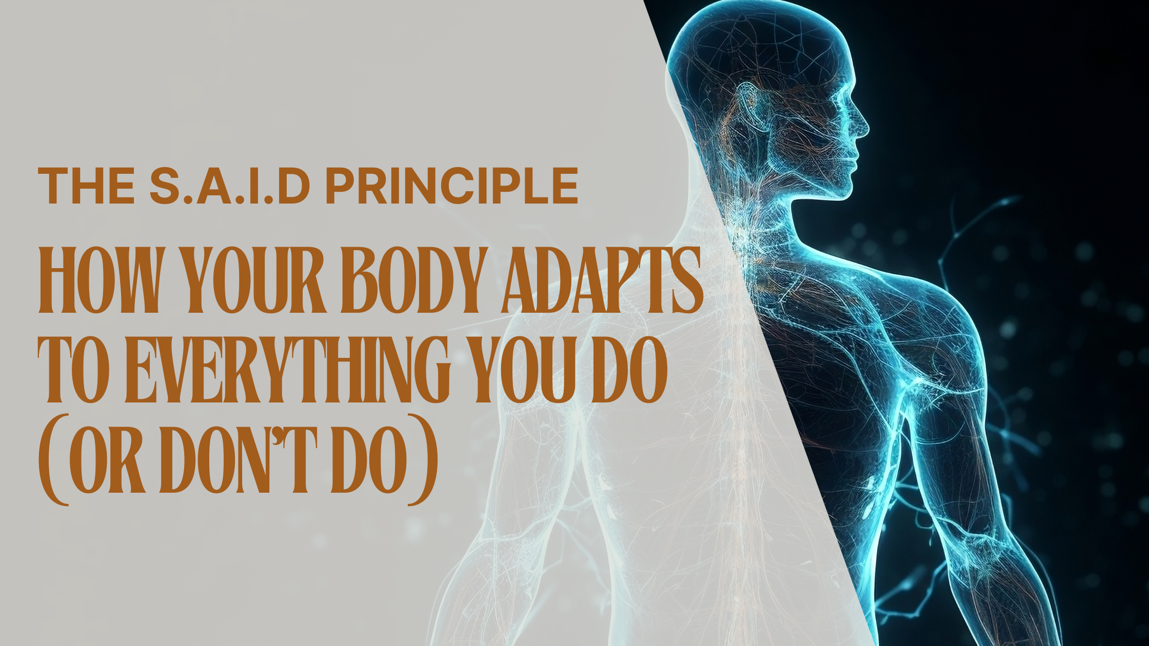 The S.A.I.D Principle: How Your Body Adapts to Everything You Do (or Don’t Do)